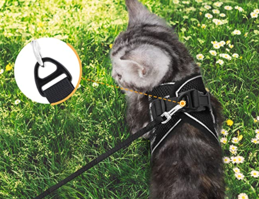 Harnais et Laisse pour Chat Anti Fugue Ajustable avec Design Sécurisé pour Promenades en Plein Air 4