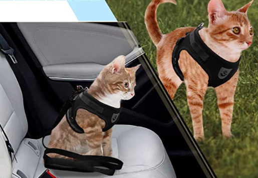 Harnais et Laisse pour Chat Anti Fugue Ajustable avec Design Sécurisé pour Promenades en Plein Air 5
