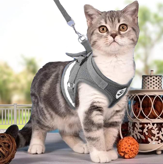 Harnais et Laisse pour Chat Anti Fugue Ajustable avec Design Sécurisé pour Promenades en Plein Air 6