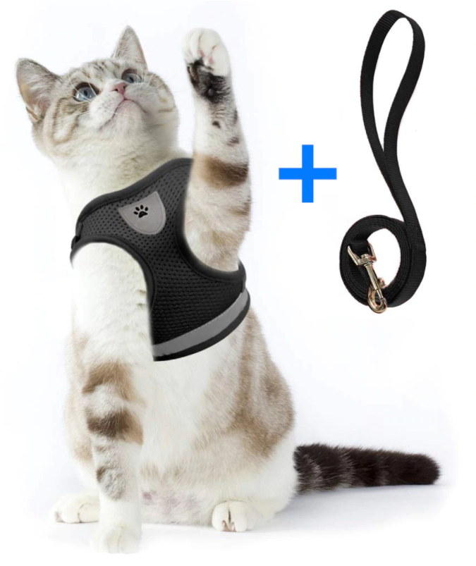 Harnais et Laisse pour Chat Anti Fugue Ajustable avec Design Sécurisé pour Promenades en Plein Air 7