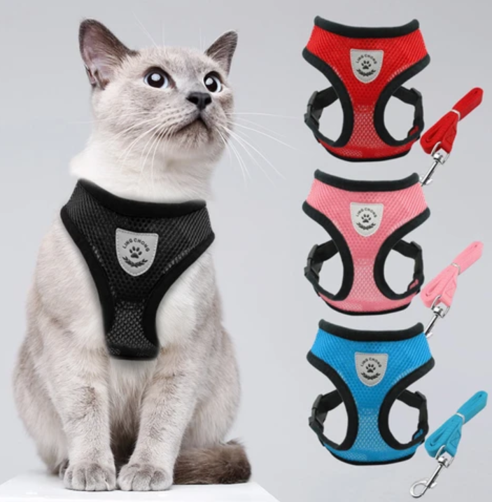 Harnais et Laisse pour Chat Anti Fugue Ajustable avec Design Sécurisé pour Promenades en Plein Air 8