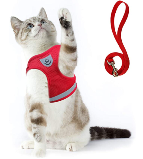 Harnais et Laisse pour Chat Anti Fugue Ajustable avec Design Sécurisé pour Promenades en Plein Air 9