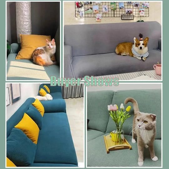 Housse de Canapé Antidérapante et Imperméable pour Animaux 4
