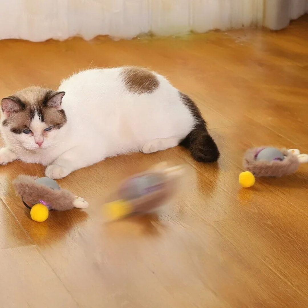 Jouet Chat Interactif en Peluche pour Jeux Actifs 2