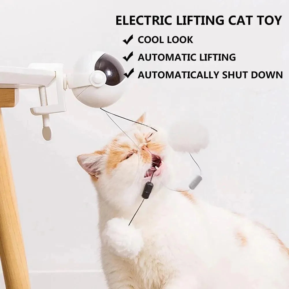 Jouet Électronique Interactif pour Chat avec Boule Rotative 2