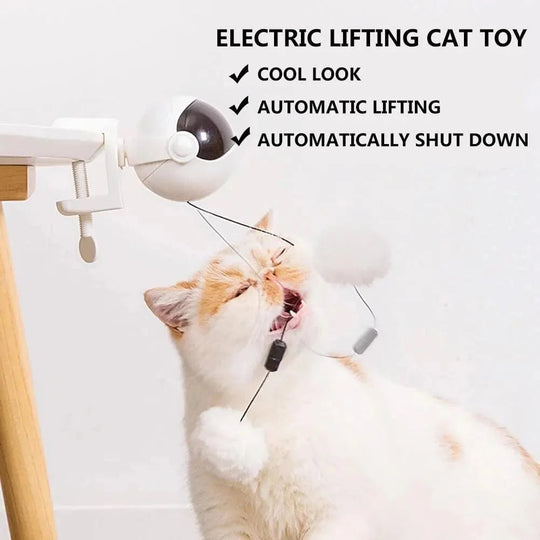 Jouet Électronique Interactif pour Chat avec Boule Rotative 2