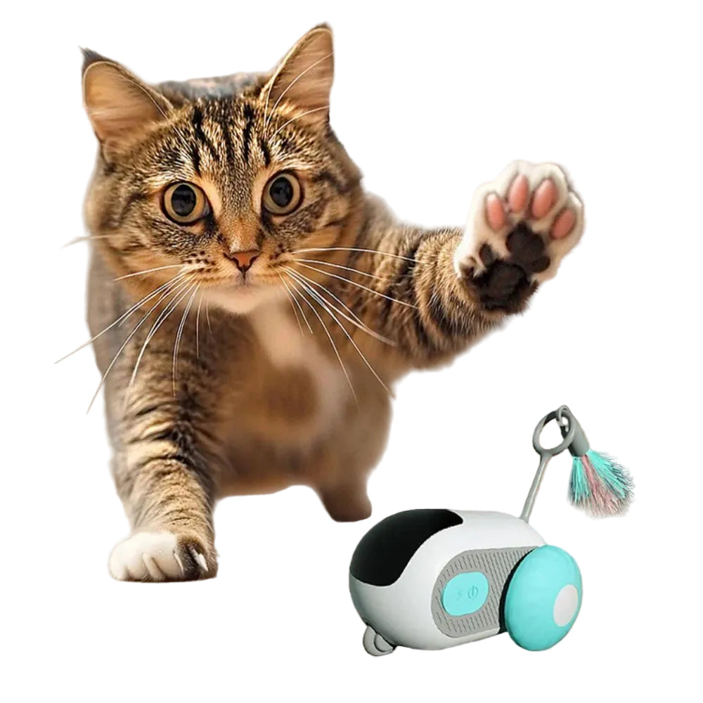 Jouet Interactif Chat TurboChase pour Jeux Actifs et Stimulation Féline 0