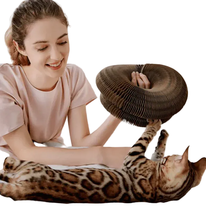 Jouet Interactif Pour Chat - Stimule Activité Physique Et Mentale, Idéal Pour Jeux D'intérieur 0