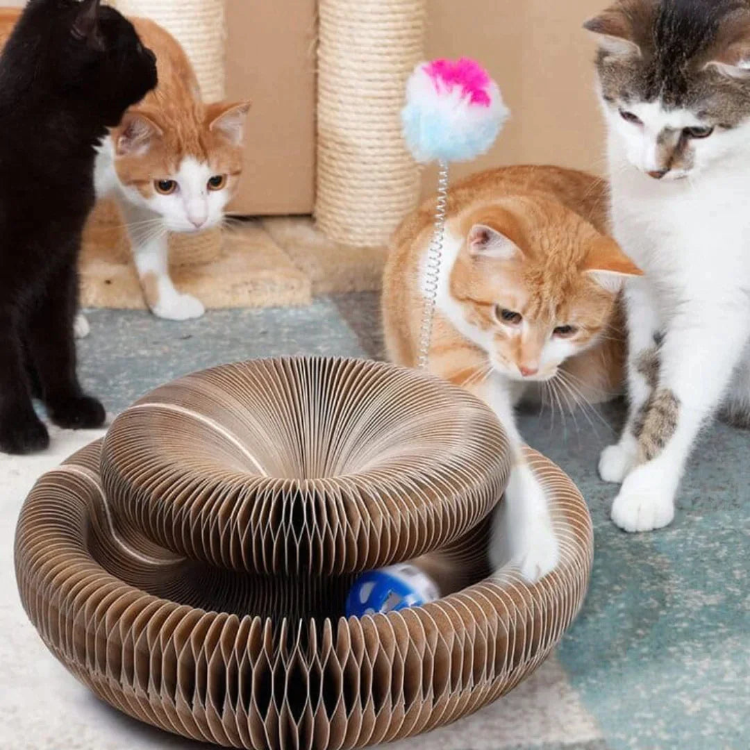 Jouet Interactif Pour Chat - Stimule Activité Physique Et Mentale, Idéal Pour Jeux D'intérieur 1