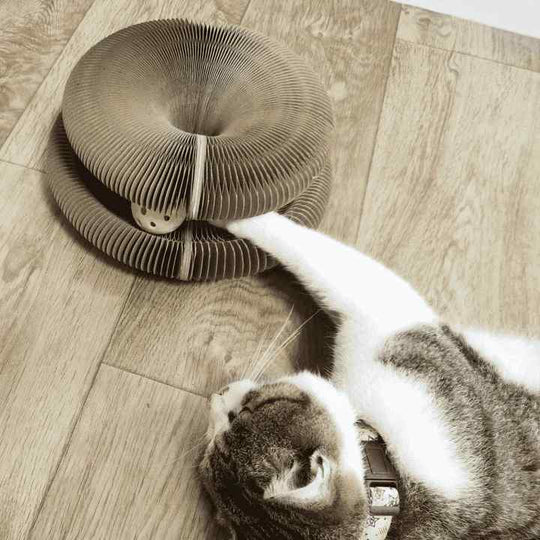 Jouet Interactif Pour Chat - Stimule Activité Physique Et Mentale, Idéal Pour Jeux D'intérieur 2