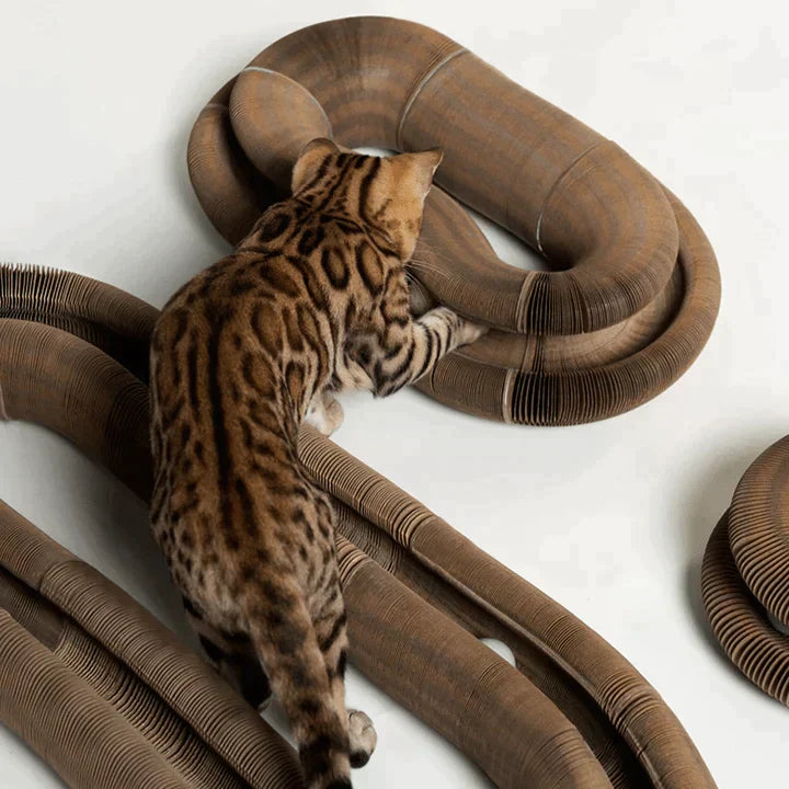 Jouet Interactif Pour Chat - Stimule Activité Physique Et Mentale, Idéal Pour Jeux D'intérieur 3