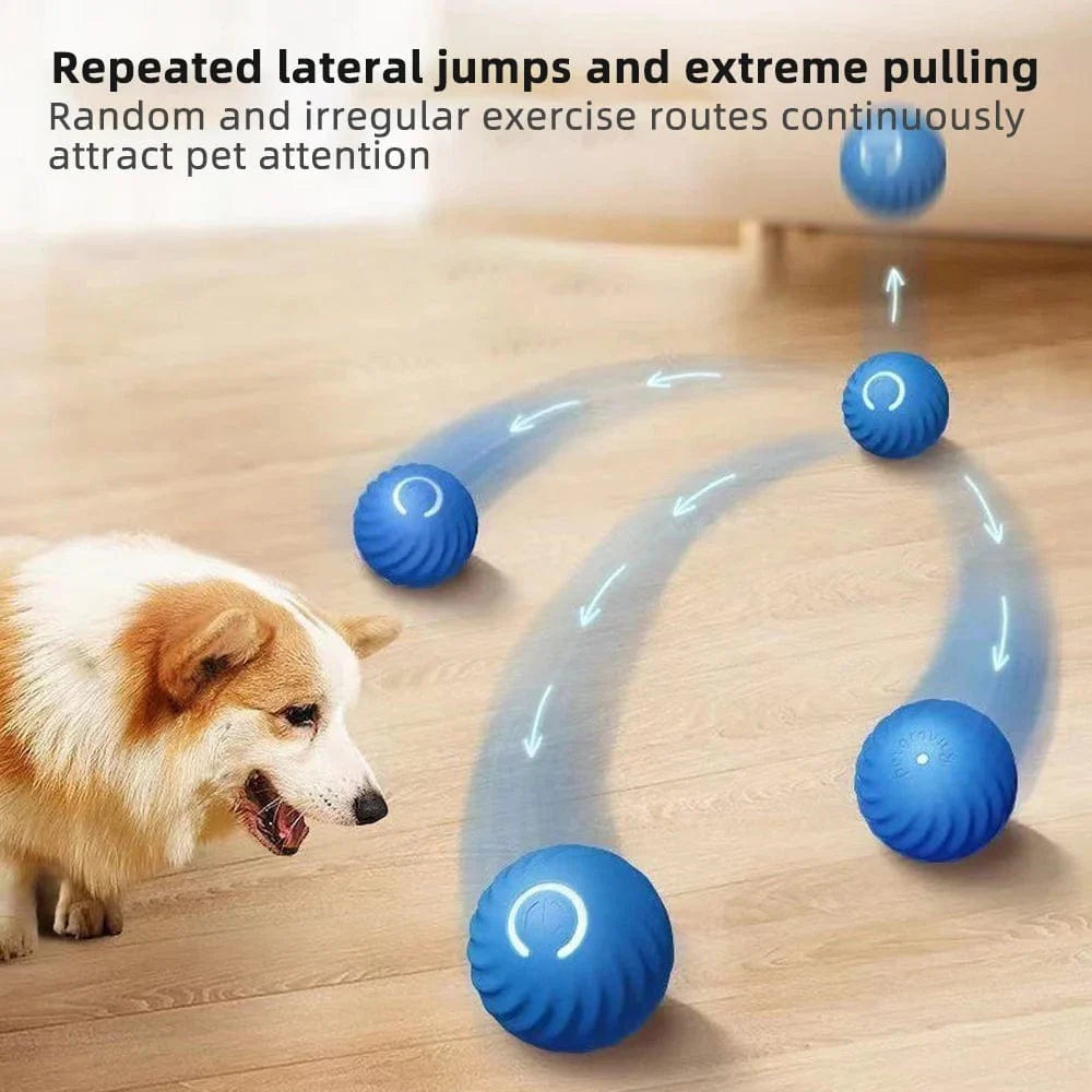 Jouet Interactif pour Chien Balle Électronique 1