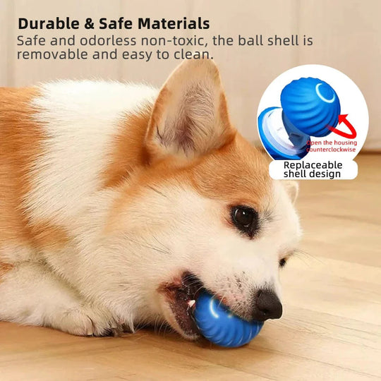 Jouet Interactif pour Chien Balle Électronique 2