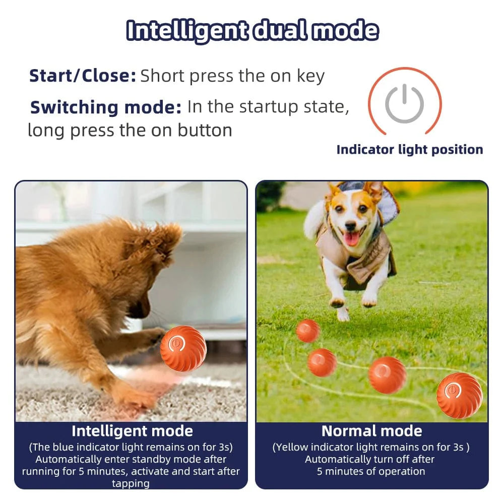 Jouet Interactif pour Chien Balle Électronique 3