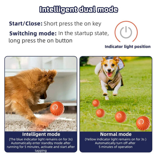 Jouet Interactif pour Chien Balle Électronique 3