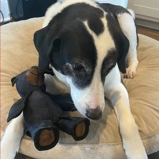 Jouet Interactif pour Chien Mâcheurs Forts 4