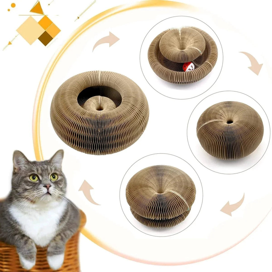 Jouet Pour Chat Planche À Gratter Ronde Avec Balle Intégrée 1