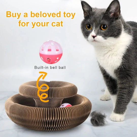Jouet Pour Chat Planche À Gratter Ronde Avec Balle Intégrée 2