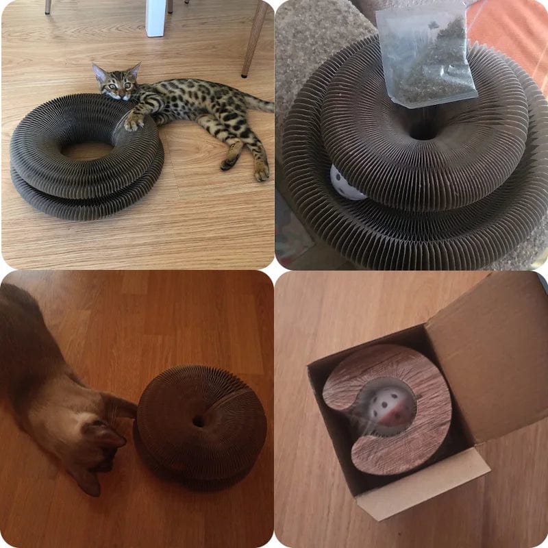 Jouet Pour Chat Planche À Gratter Ronde Avec Balle Intégrée 5