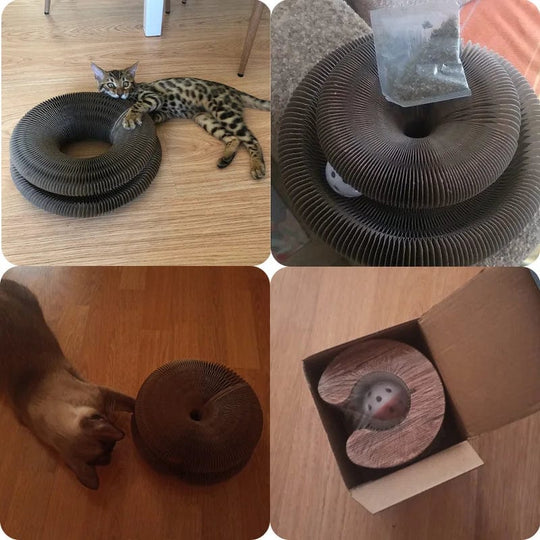 Jouet Pour Chat Planche À Gratter Ronde Avec Balle Intégrée 5