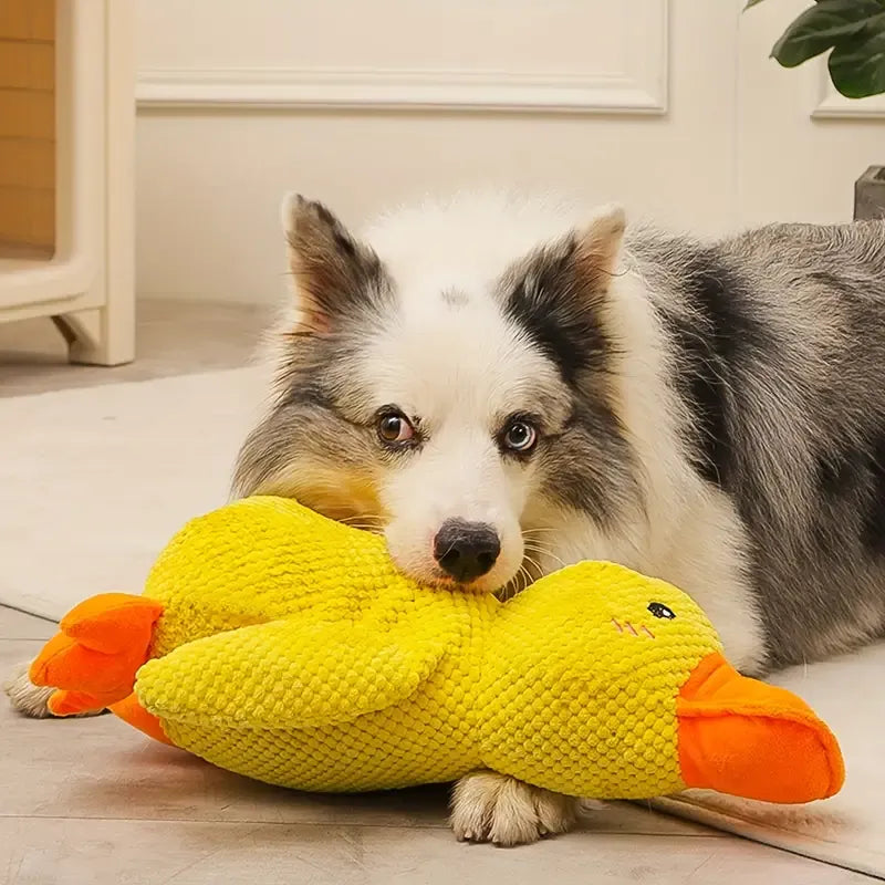 Jouet Pour Chien FlappyDuck Interactif Avec Sons Amusants 1