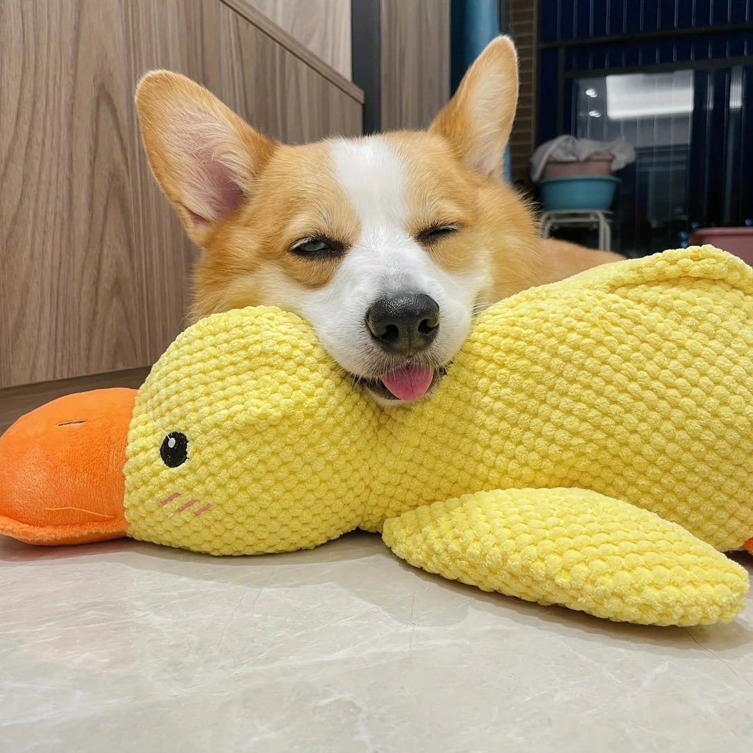 Jouet Pour Chien Grinçant Canard Amusant 1