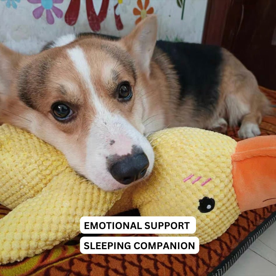 Jouet Pour Chien Grinçant Canard Amusant 3