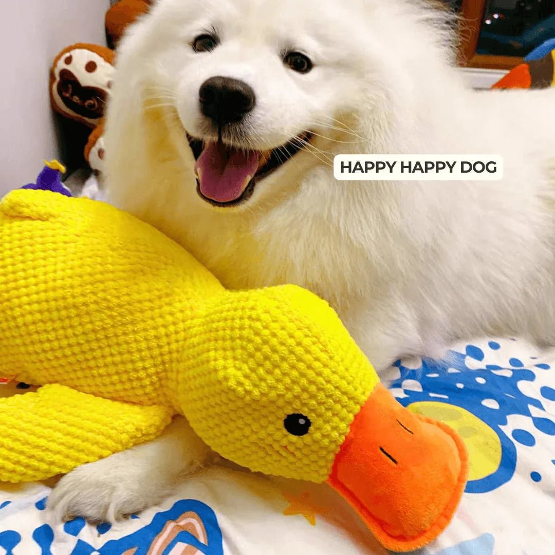 Jouet Pour Chien Grinçant Canard Amusant 5