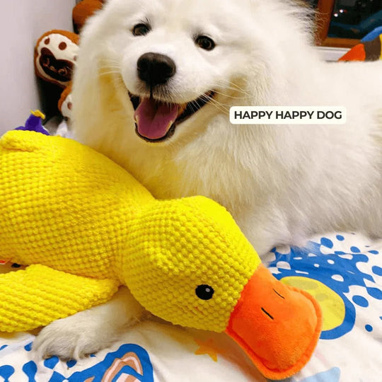 Jouet Pour Chien Grinçant Canard Amusant 5