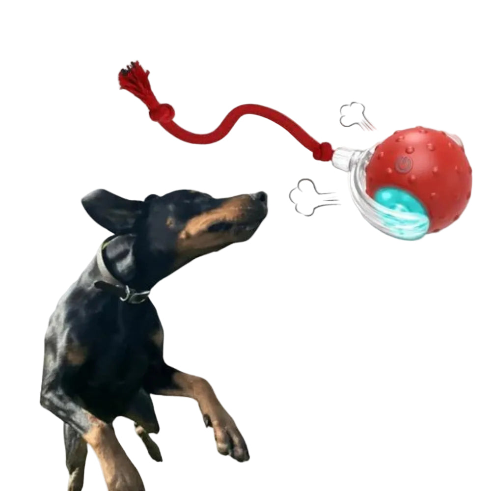 Jouet Pour Chien Interactif Balle Roulante Amusante 0