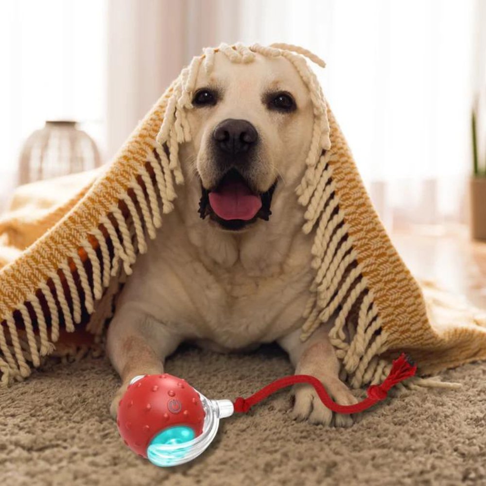 Jouet Pour Chien Interactif Balle Roulante Amusante 4