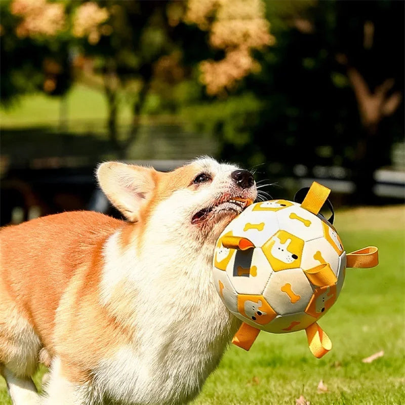 Jouet Pour Chien Interactif en Football Léger et Résistant 1