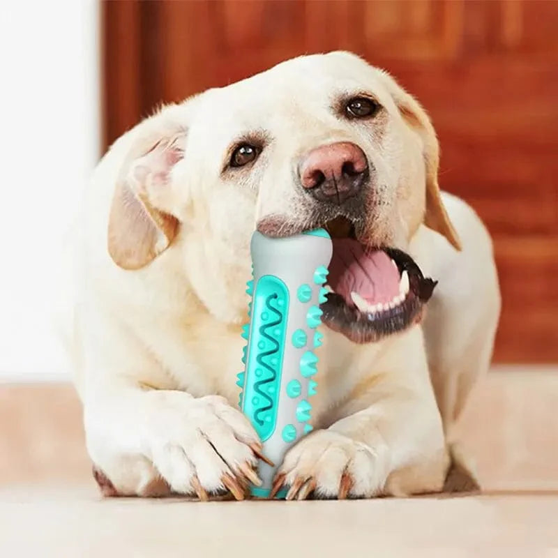 Jouet à mâcher pour chien avec nettoyage dentaire 1