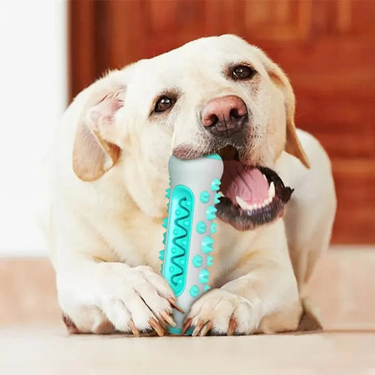 Jouet à mâcher pour chien avec nettoyage dentaire 1