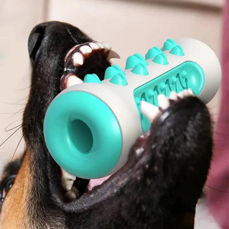 Jouet à mâcher pour chien avec nettoyage dentaire 2
