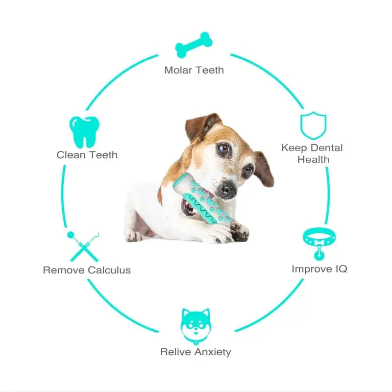 Jouet à mâcher pour chien avec nettoyage dentaire 4