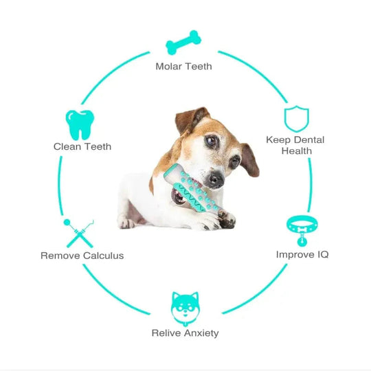 Jouet à mâcher pour chien avec nettoyage dentaire 4