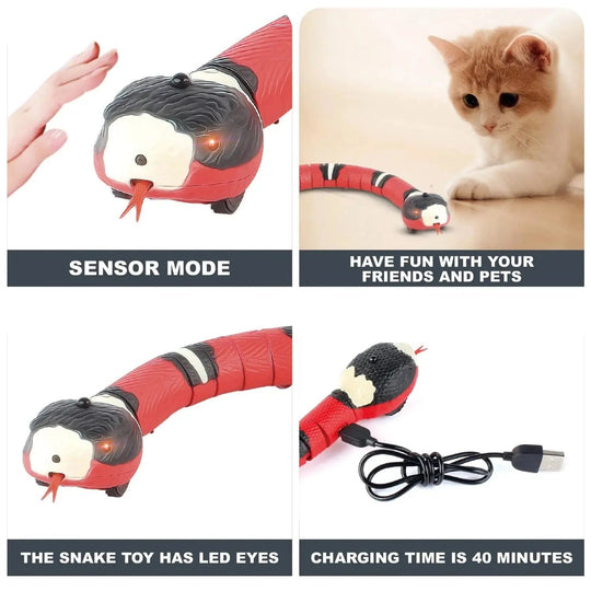 Jouet interactif pour chat avec serpent électronique 4