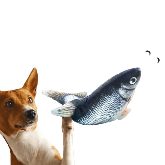 Jouet interactif pour chien FloppyFish 0