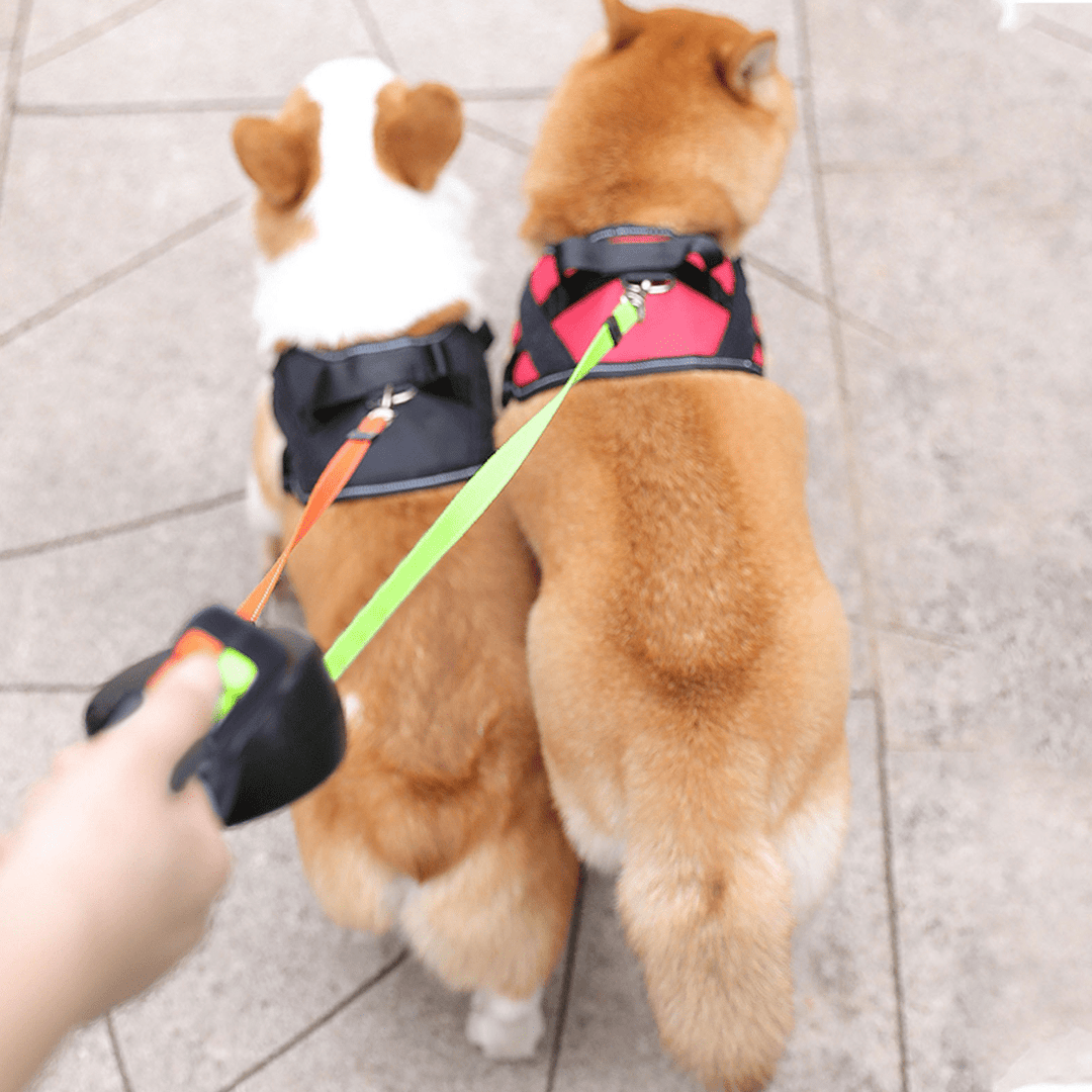 Laisse Double Rétractable Pour Chien Avec Lampe Intégrée Et Système Anti-Emmêlement 2