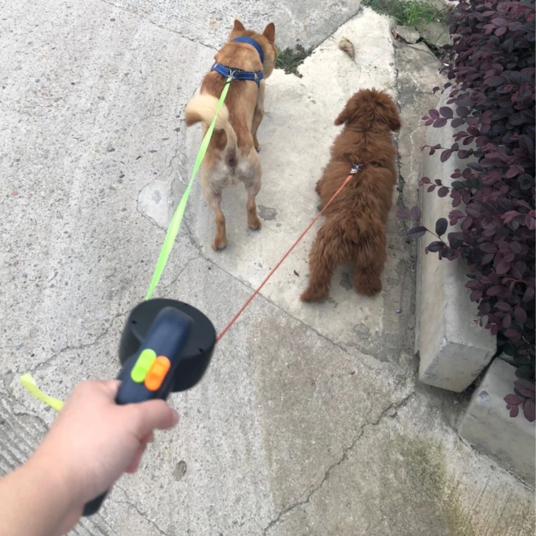 Laisse Double Rétractable pour Chiens avec Lampe de Poche 5