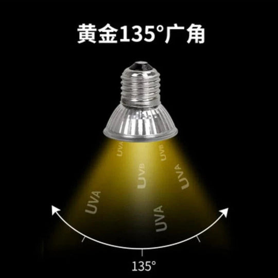 Lampe Chauffante UVA E27 pour Reptiles et Animaux de Compagnie 4