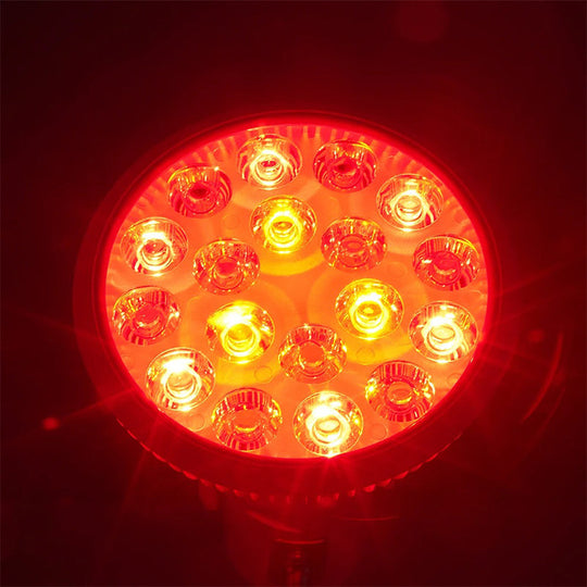 Lampe LED Thérapeutique avec Pince pour Soins de la Peau 1