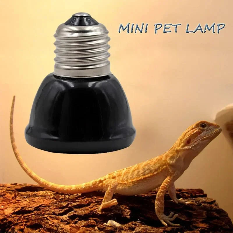 Lampe Poussin Chauffante Infrarouge pour Animaux Comfortablement Adaptée 1