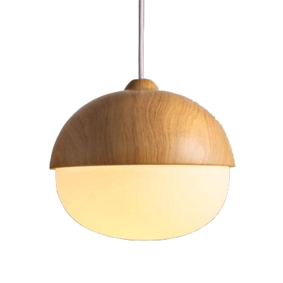Lampe Suspendue Moderne en Bois et Verre 0