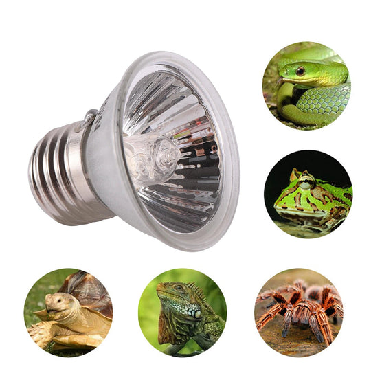 Lampe UVA UVB Compacte Pour Reptiles Diurnes 1