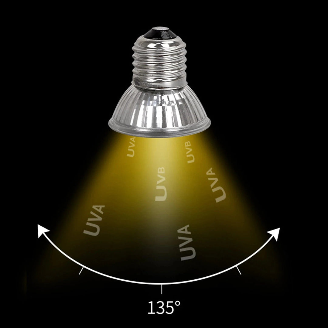 Lampe UVA UVB Compacte Pour Reptiles Diurnes 3