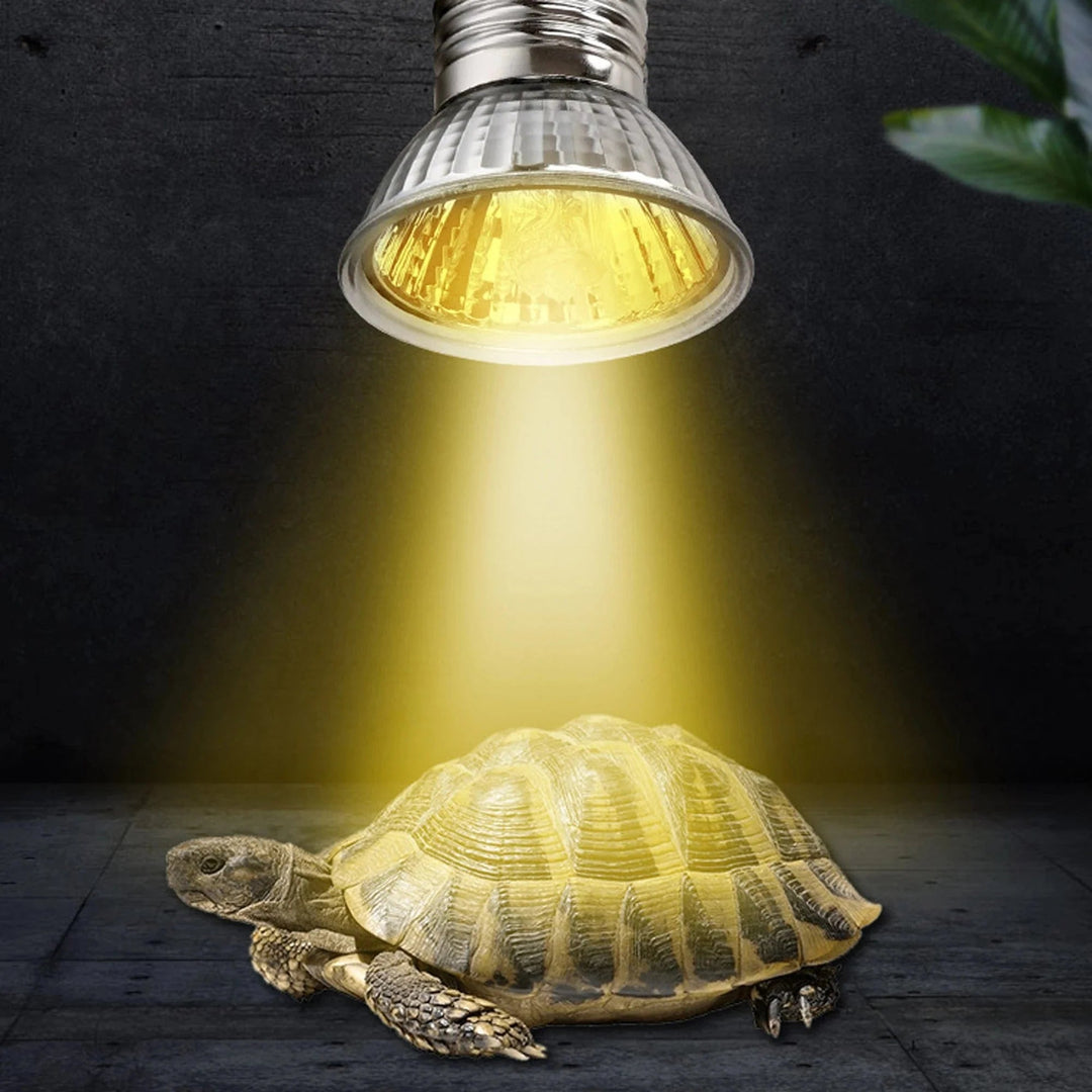 Lampe UVA UVB Compacte Pour Reptiles Diurnes 5