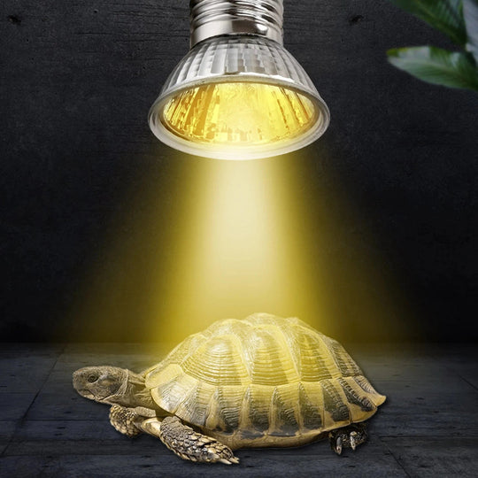 Lampe UVA UVB Compacte Pour Reptiles Diurnes 5