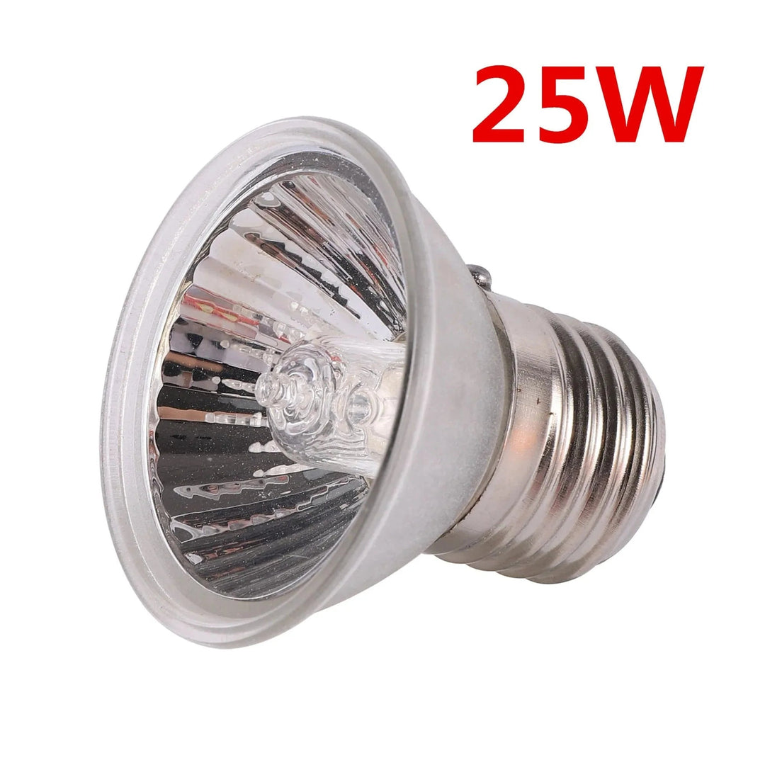 Lampe UVA UVB Compacte Pour Reptiles Diurnes 6